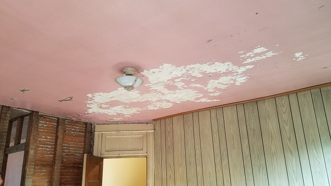 Before: wood paneling and scary pink ceiling